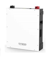 DYNESS Lithium Battery BX51100(51.2V100AH 5.12KWH)